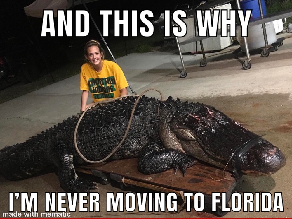 Florida Gators Meme by Roodogg ) Memedroid
