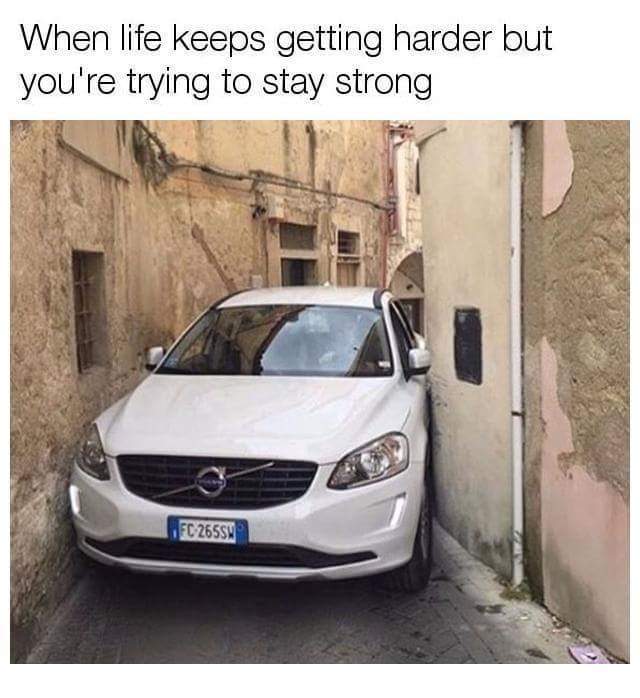 Fatty volvo Meme by nikobellic4564 ) Memedroid