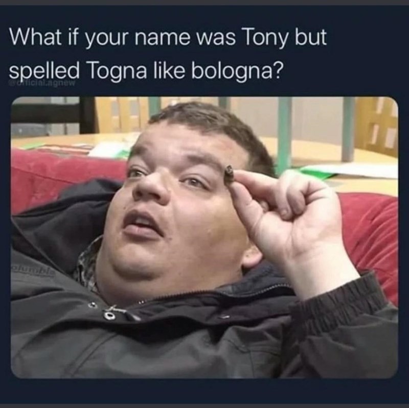 The best Bologna memes ) Memedroid