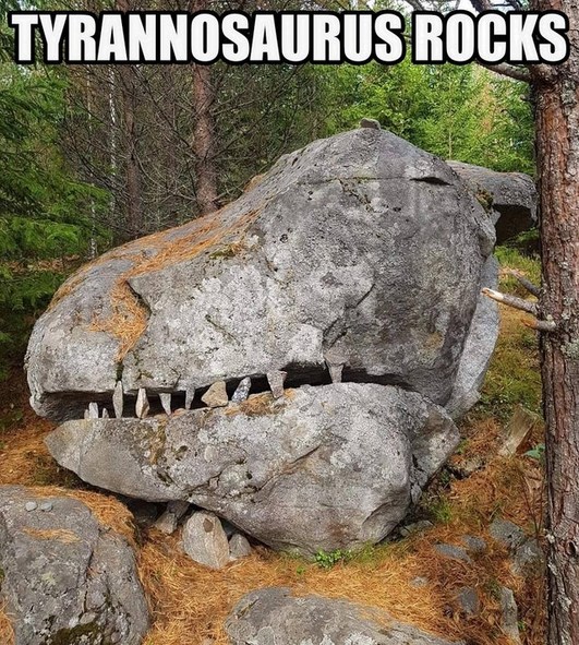 The best Rocks memes ) Memedroid