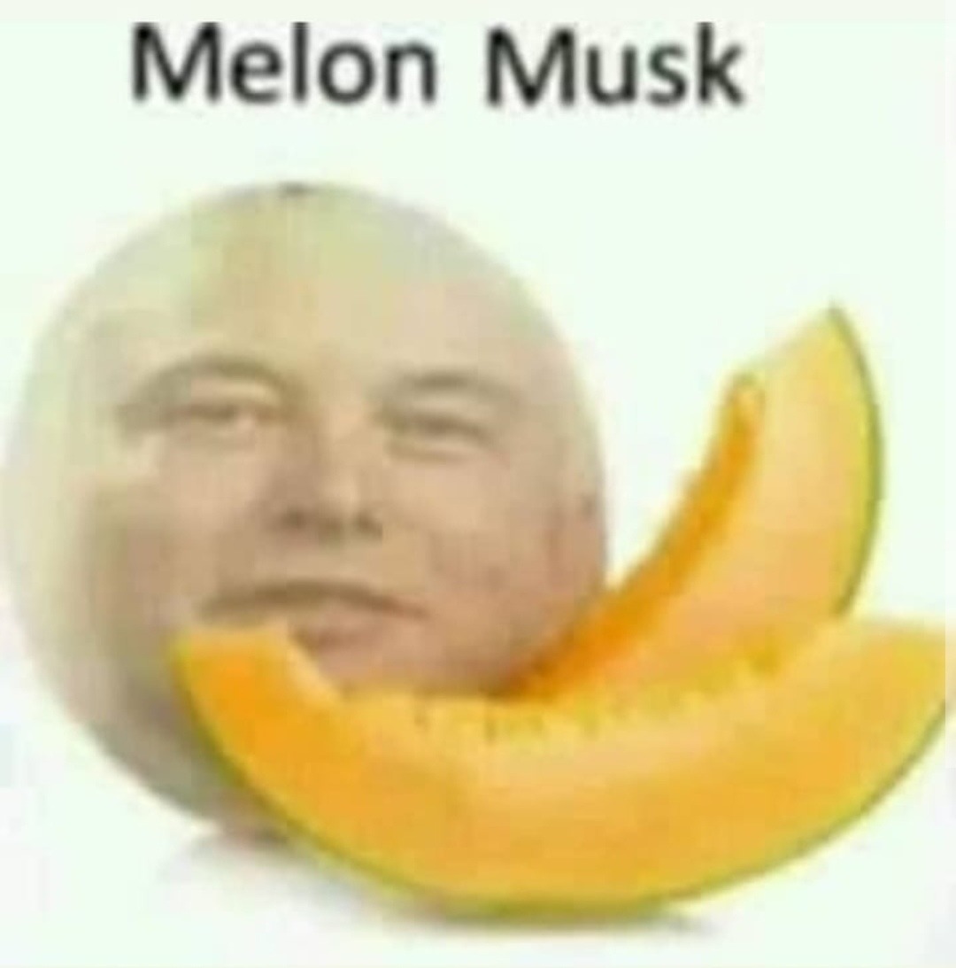 Melón Musk Meme subido por Athlex ) Memedroid