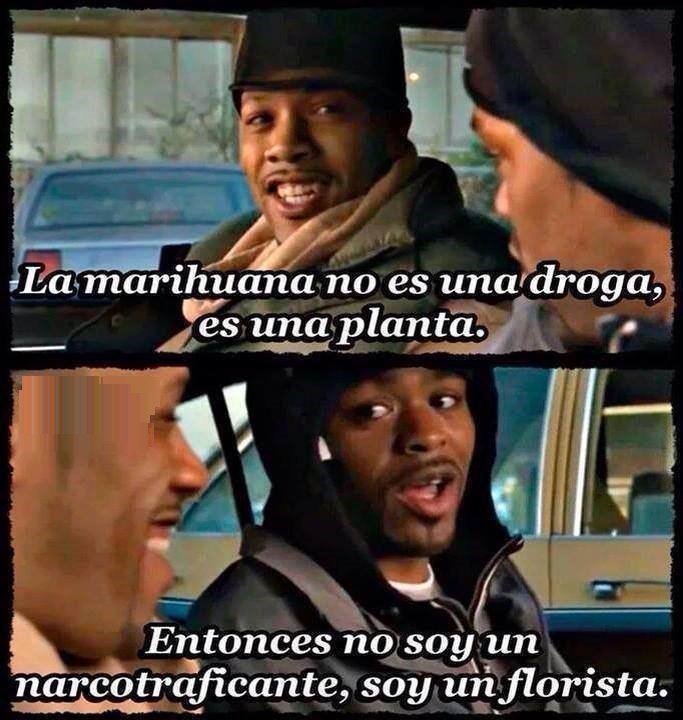 Ponte Verga Meme En Ingles