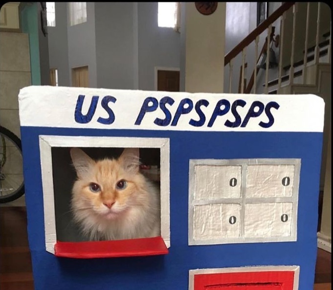 The best Mail memes ) Memedroid