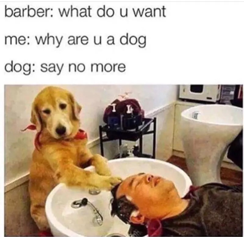 The best Decode memes :) Memedroid