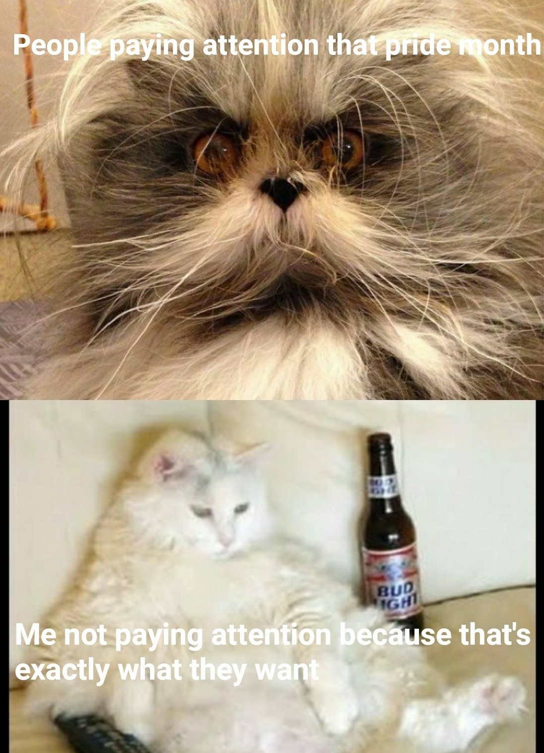 Insert Not Paying Attention Here Meme by TheGuy23600 ) Memedroid