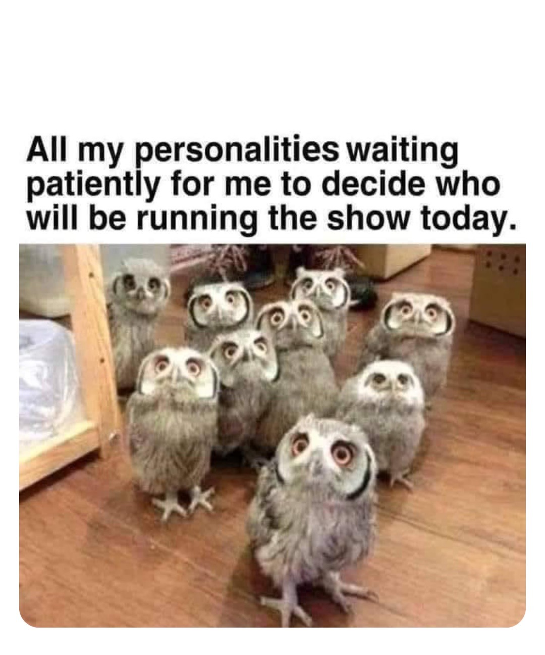 waiting meme Meme subido por jamjamhxm ) Memedroid