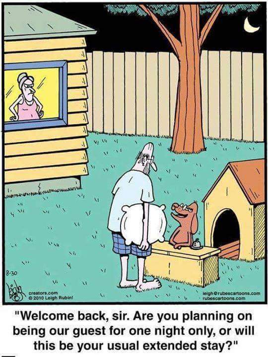 Dog hotel Meme by hermann.ryan ) Memedroid
