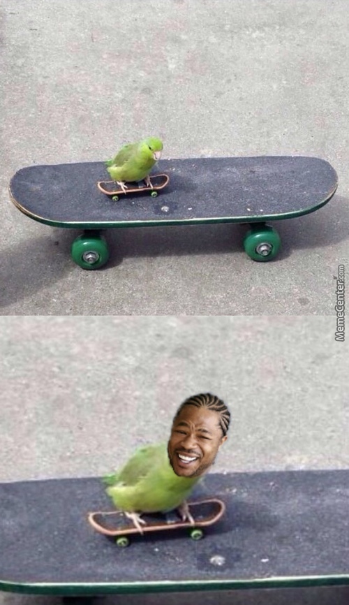 The best skateboarding memes ) Memedroid