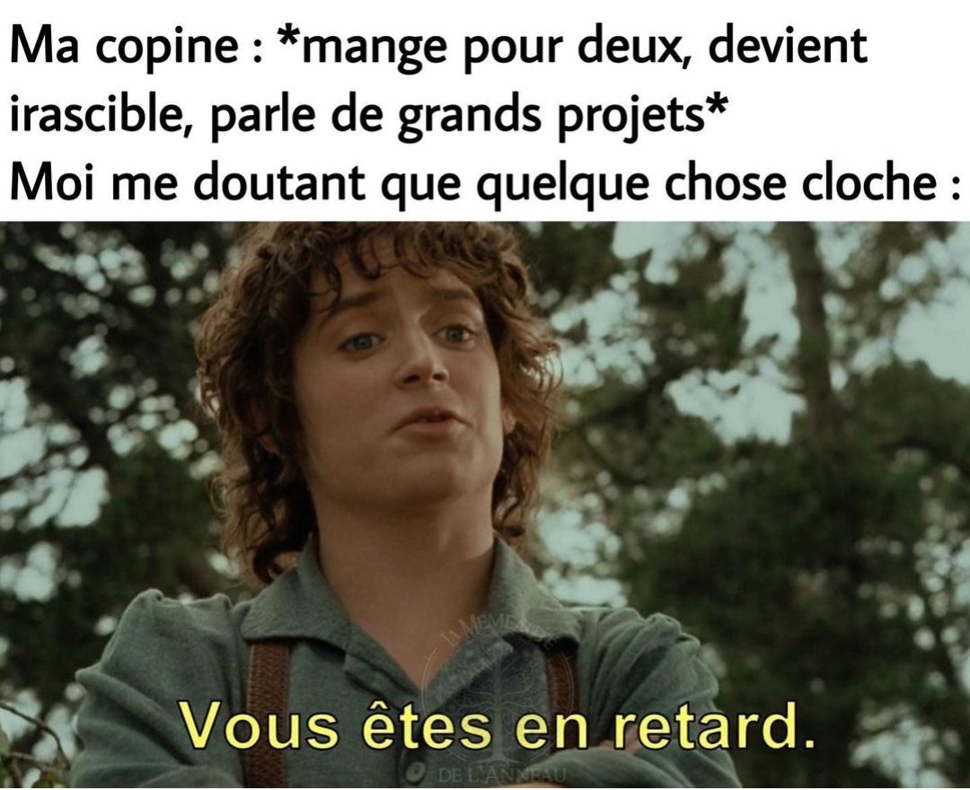 pas mal teddydabeer sur instagram Meme by Cheval_chauve ) Memedroid