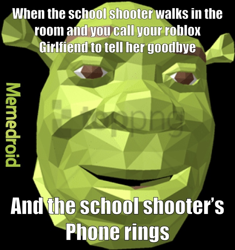 Funny Roasts For Roblox Characters