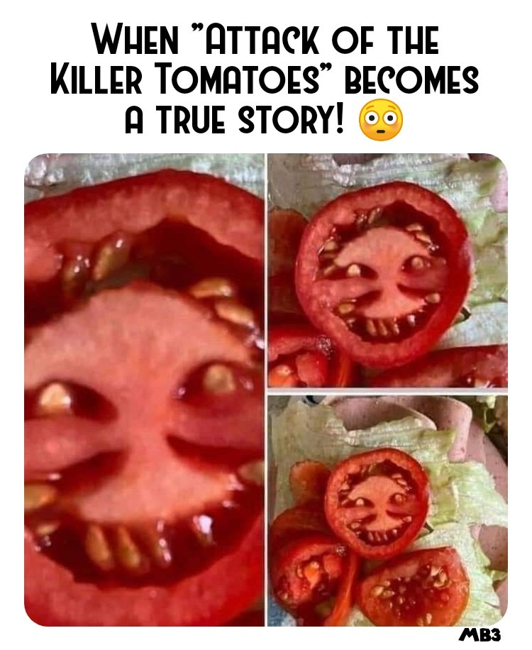The best Tomato memes ) Memedroid