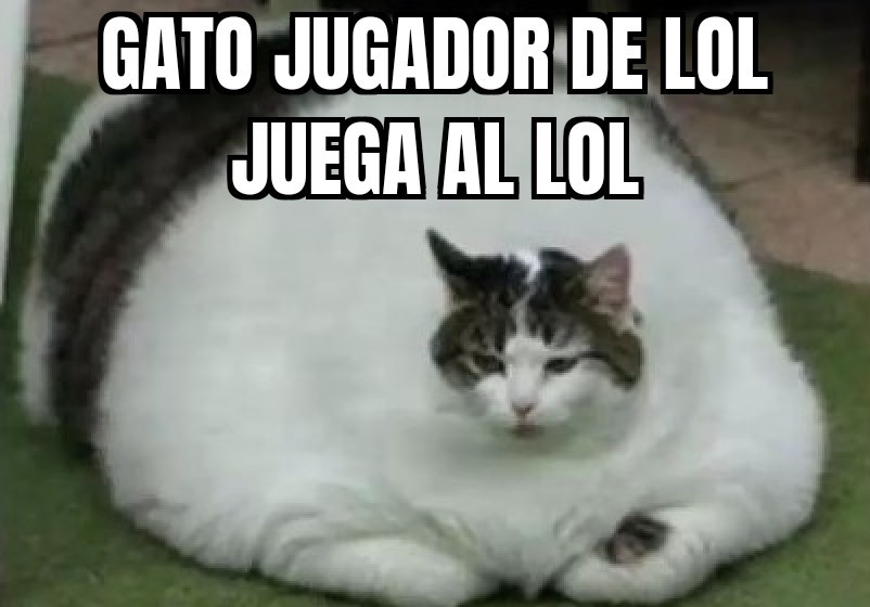 Top memes de lol en español ) Memedroid