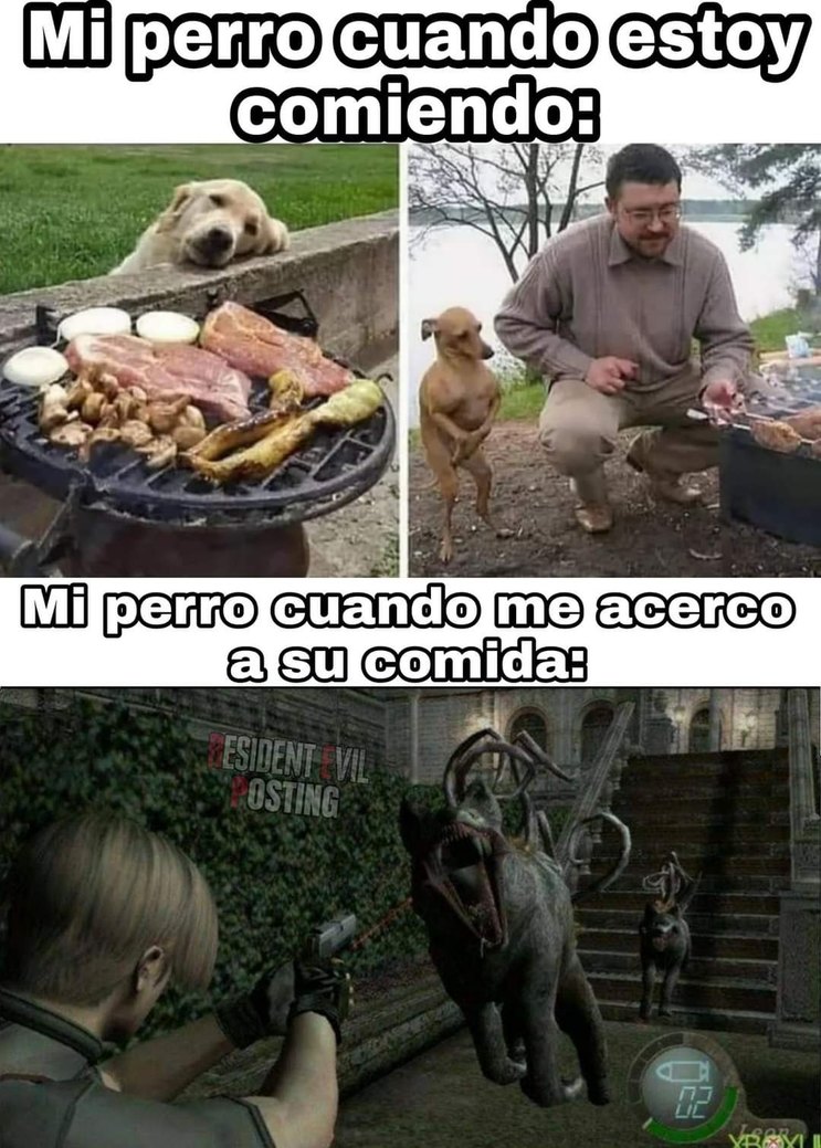 No me gustan los perros Meme subido por SuperHomunculo ) Memedroid