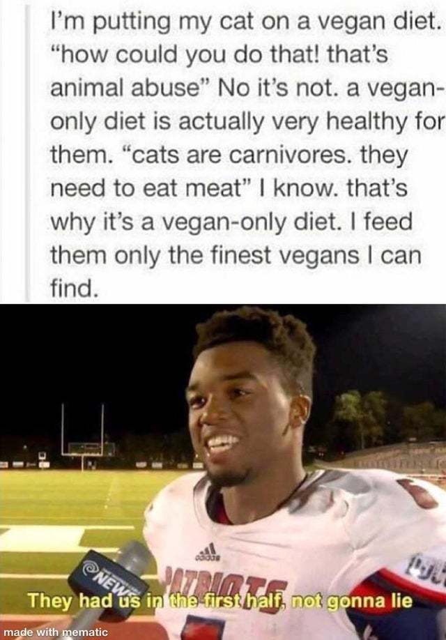 I'm putting my cat on a vegan diet Meme by Splinter99 ) Memedroid