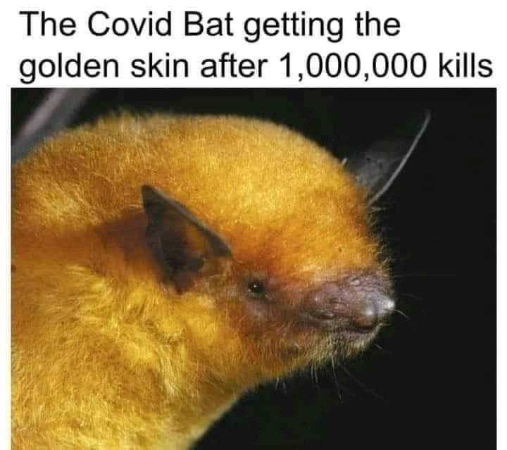 The best bat memes ) Memedroid