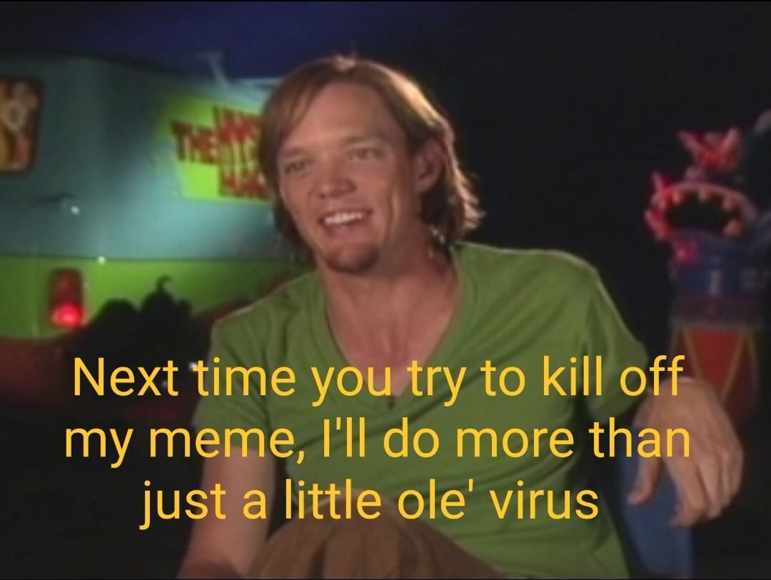 The best shaggy memes ) Memedroid