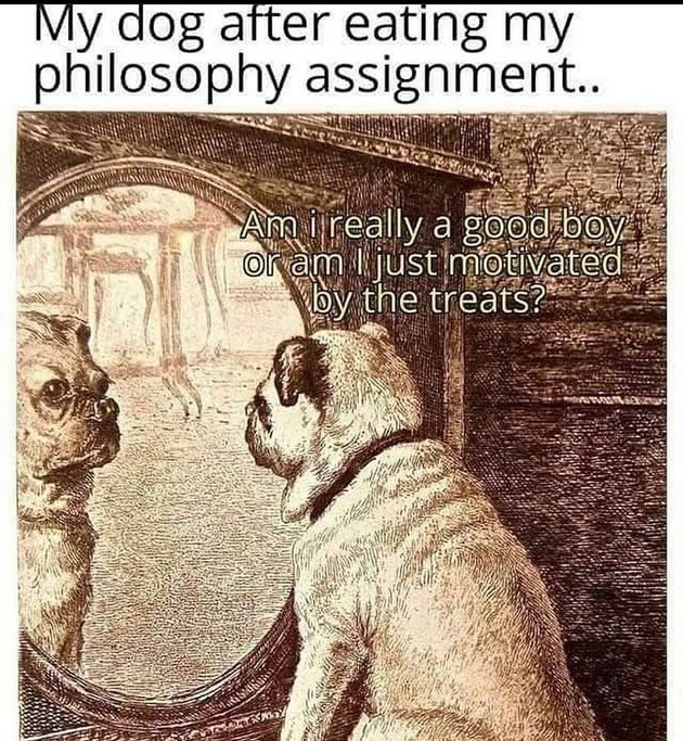 The best philosophy memes ) Memedroid