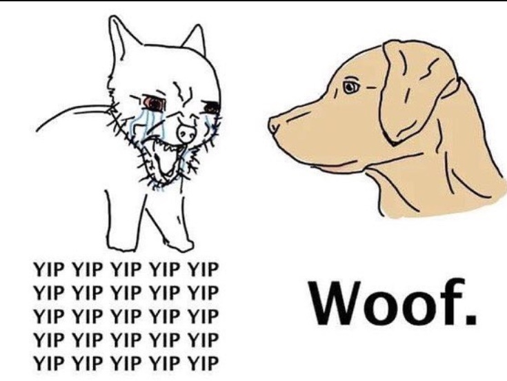 The best Sojak memes ) Memedroid