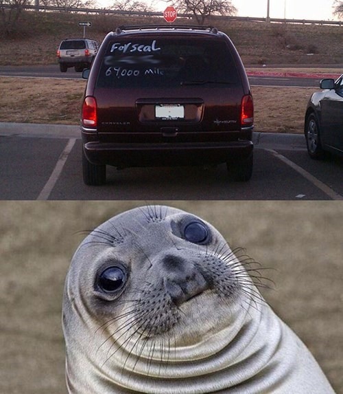 The best Seal memes ) Memedroid