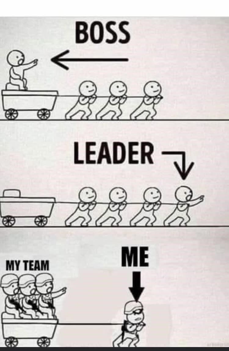 Section Leader Memes I Am Confident In The New Section Leaders For