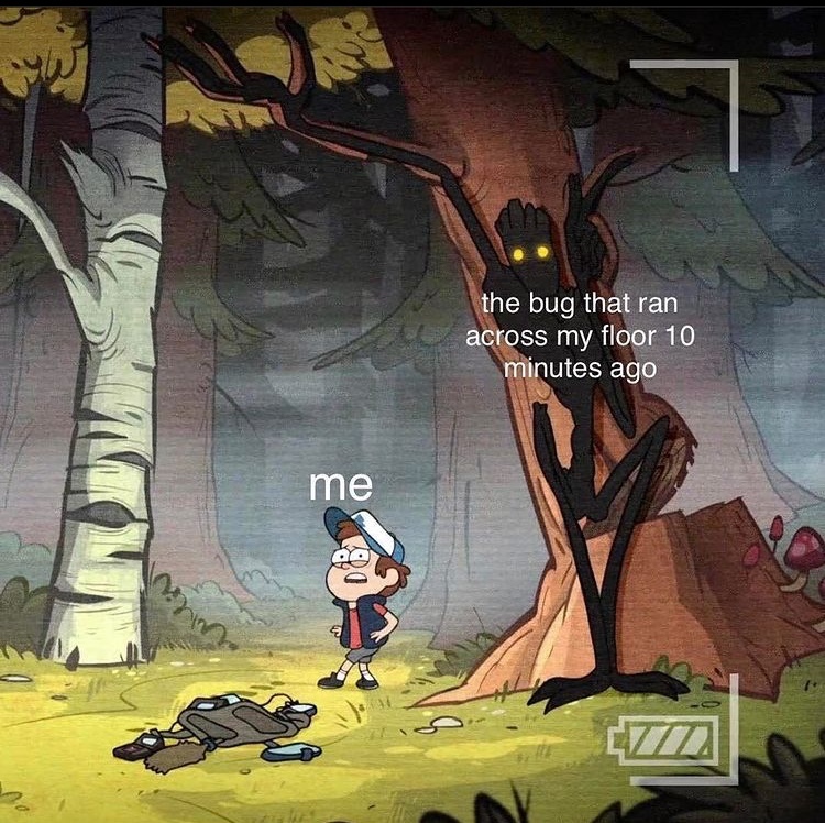 The best Hiding memes ) Memedroid