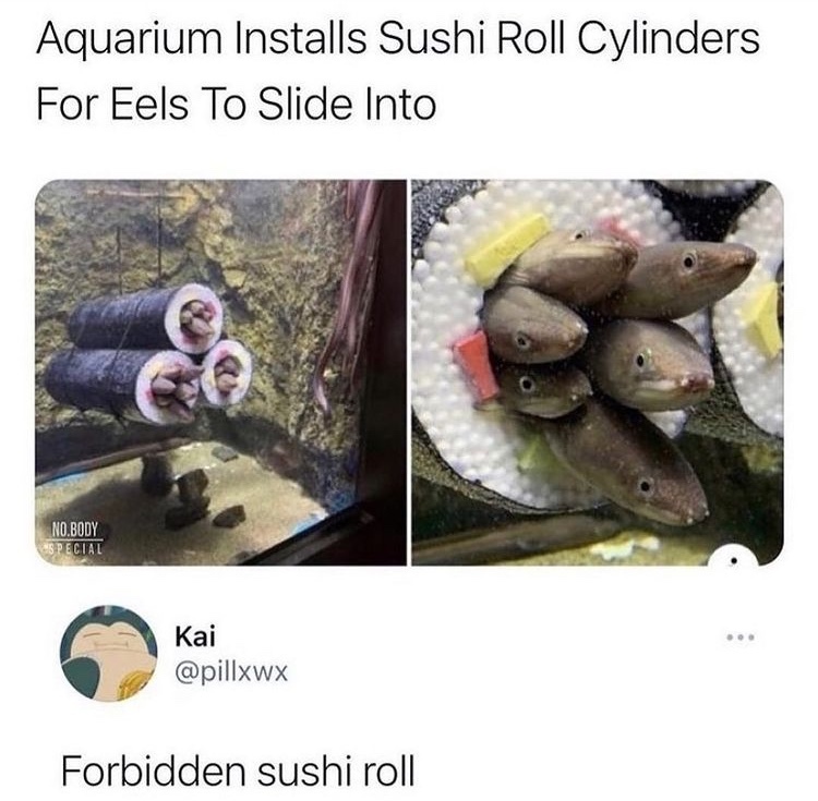 forbidden sushi roll Meme by DaMusicGamer ) Memedroid