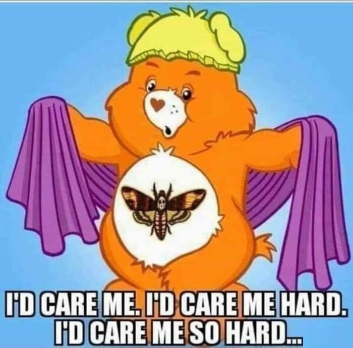 The best bear memes ) Memedroid