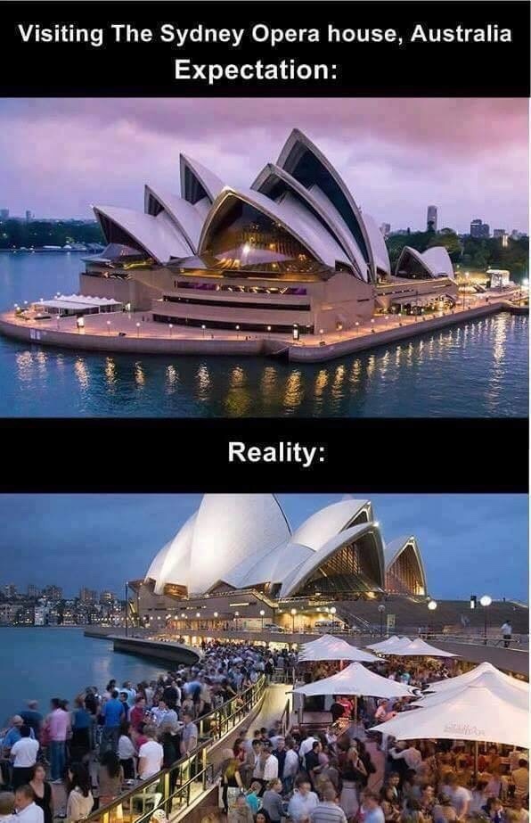 The best sydney memes ) Memedroid