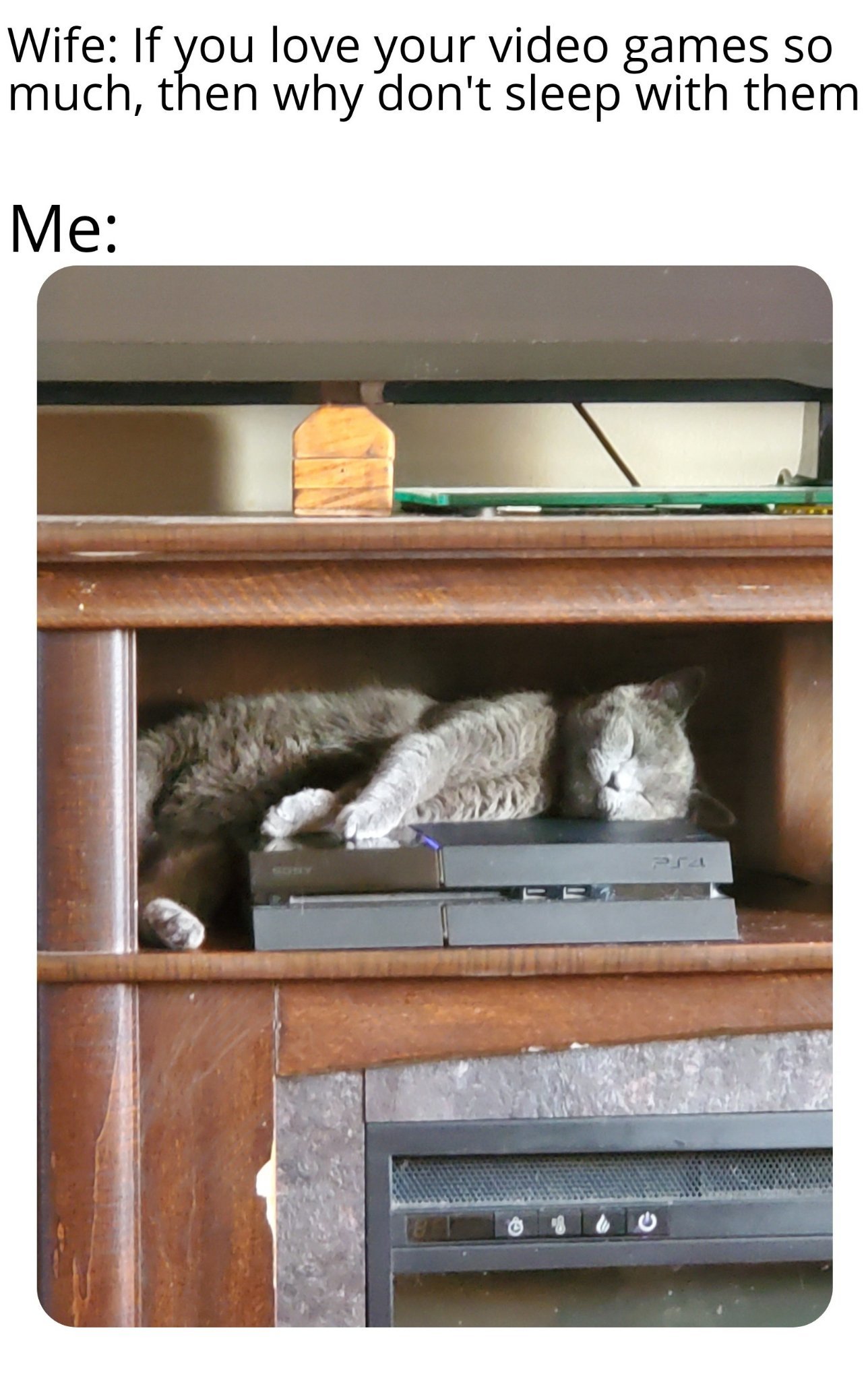 To Cathouse [PATCHED Full]