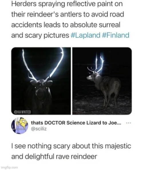 The best Reindeer memes ) Memedroid