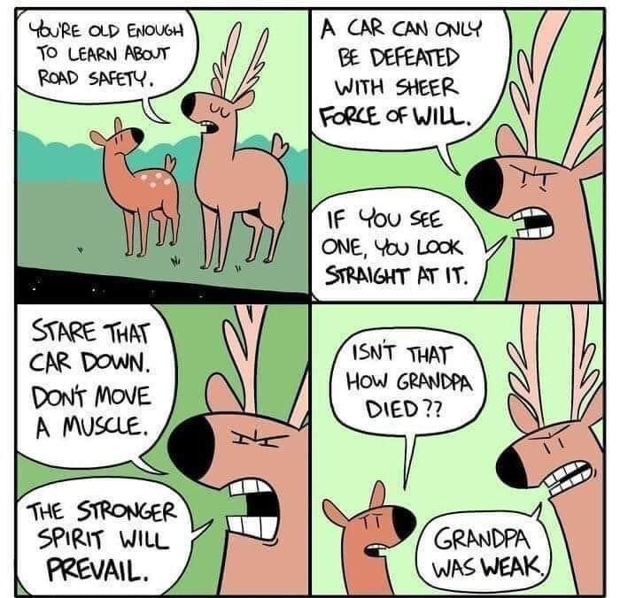 don’t be a pansy Meme by Greyfacedman ) Memedroid