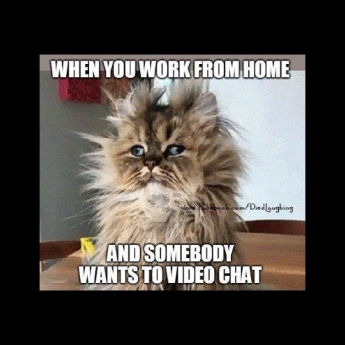 Bad hair day Meme by kbrown4432 ) Memedroid