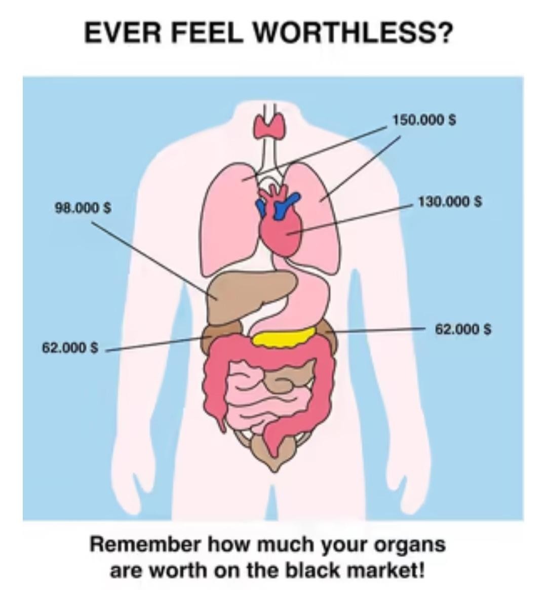 Organs Meme by SEIDAHO71 ) Memedroid