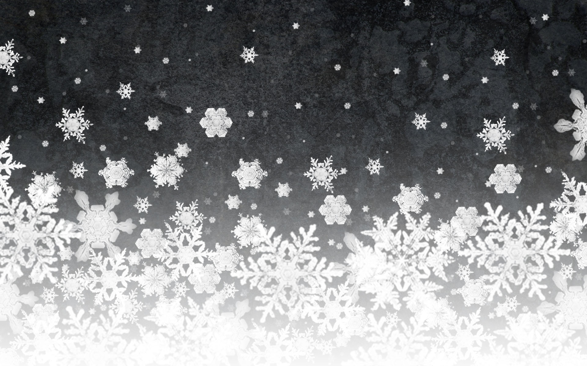 Snowflake Full HD Wallpaper and Background Image 1920x1200 ID101296