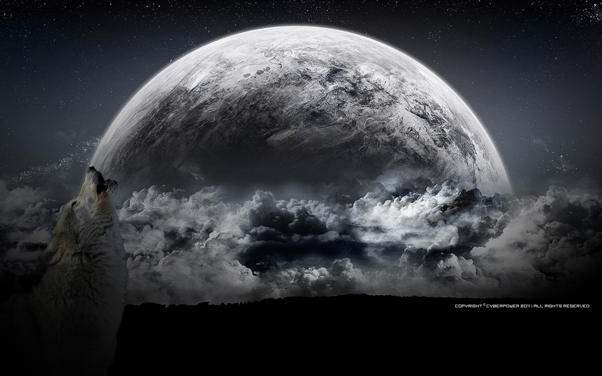 Howling Wolf HD Wallpaper