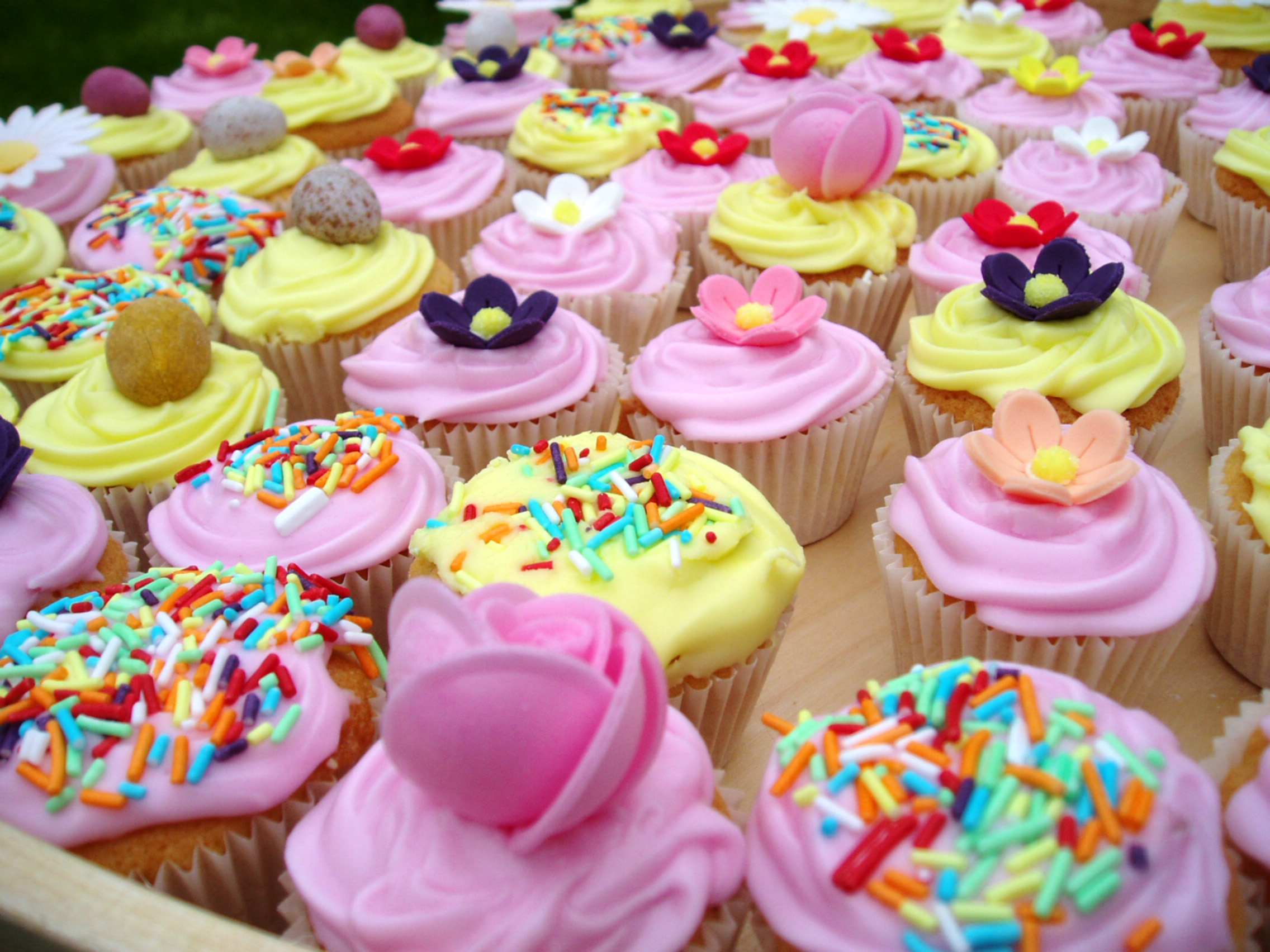 Colorful Cupcake Delight HD Wallpaper