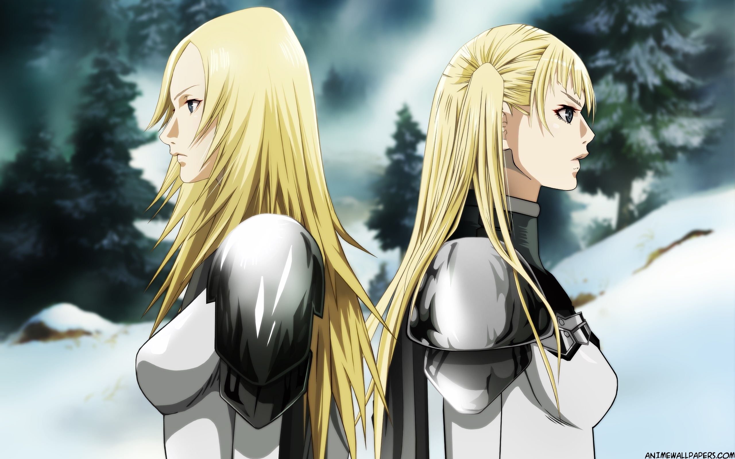 Claymore HD Wallpaper Background Image 2560x1600 ID