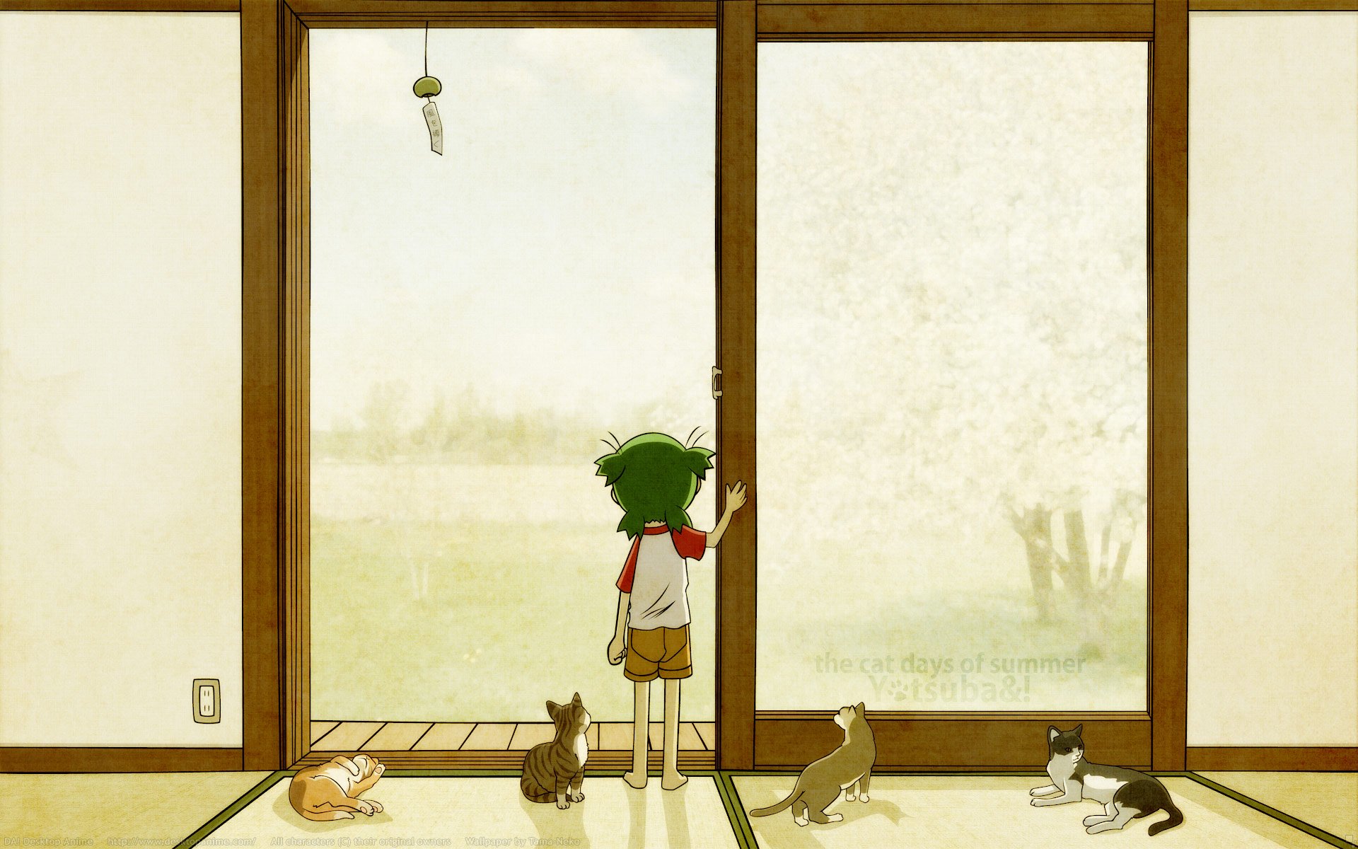 Download Cat Anime Yotsuba! HD Wallpaper
