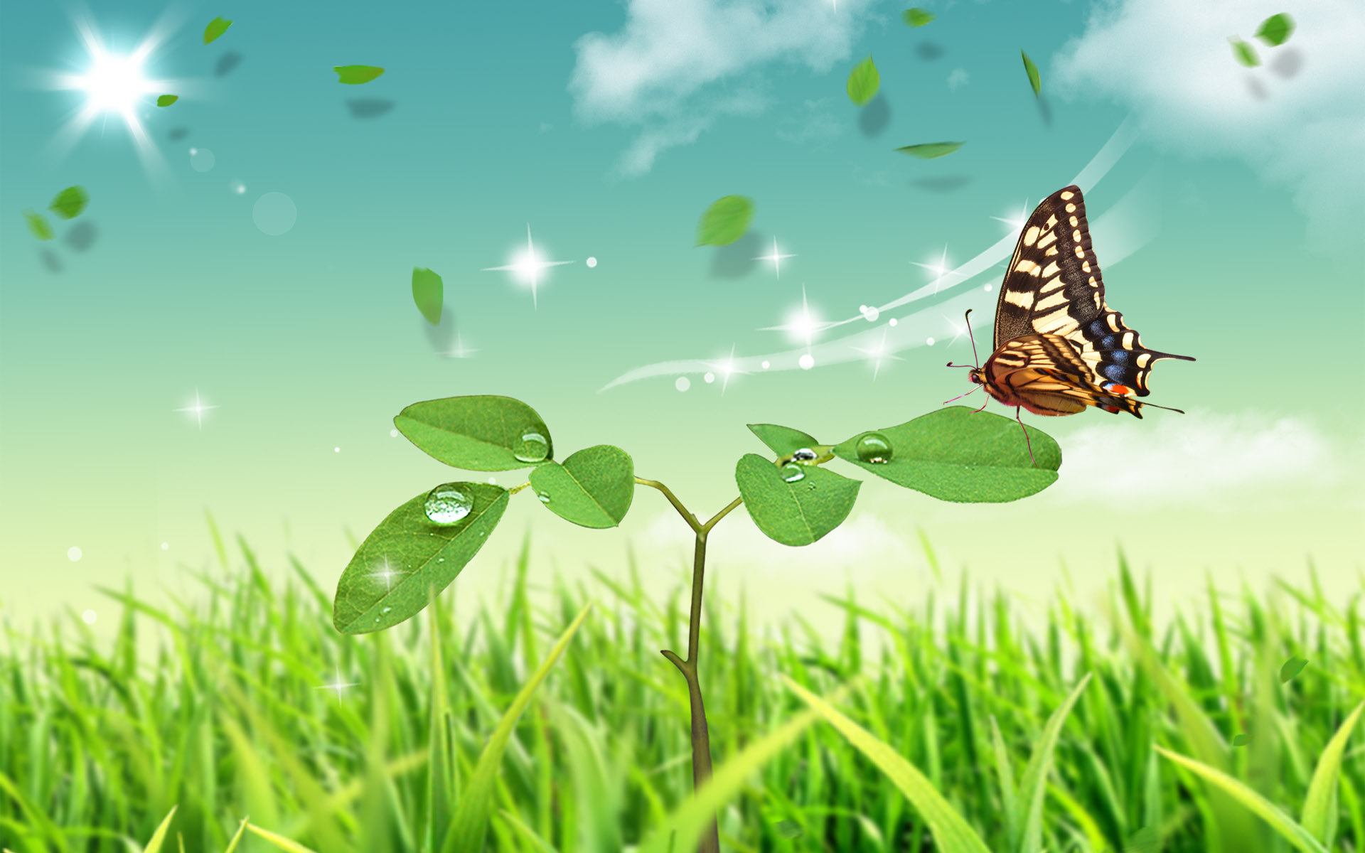 Beautiful Nature Wallpapers For Facebook Cover Page