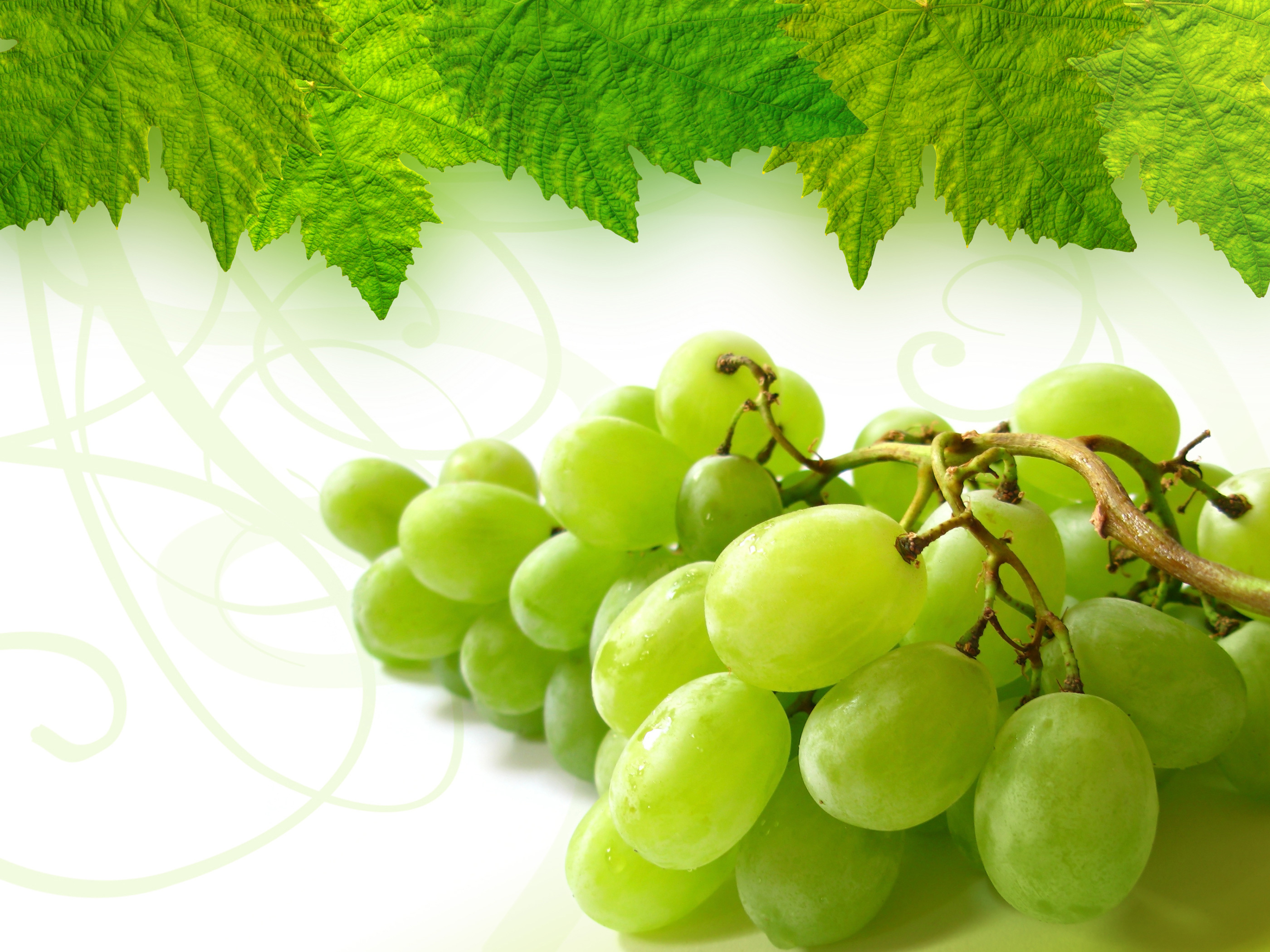 Grape Full HD Wallpaper and Background 2800x2100 ID288596