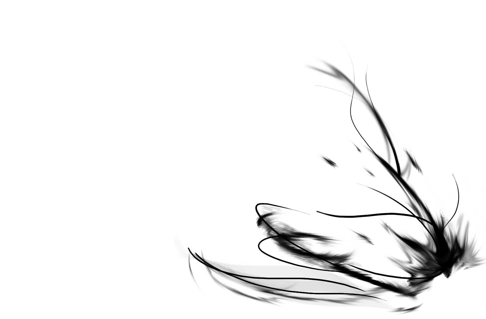 Elegant Abstract White HD Wallpaper