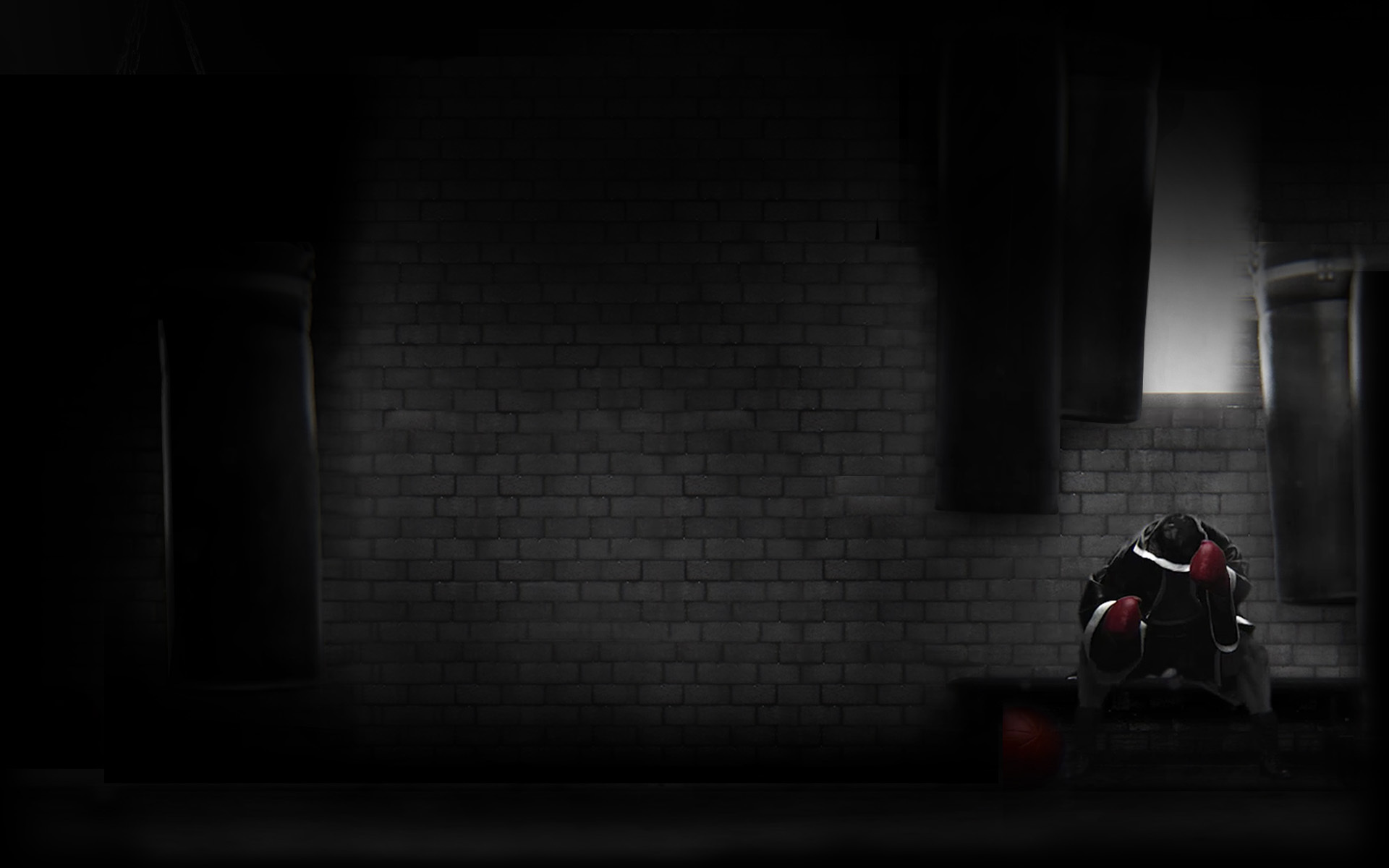 7 Real Boxing HD Wallpapers Background Images