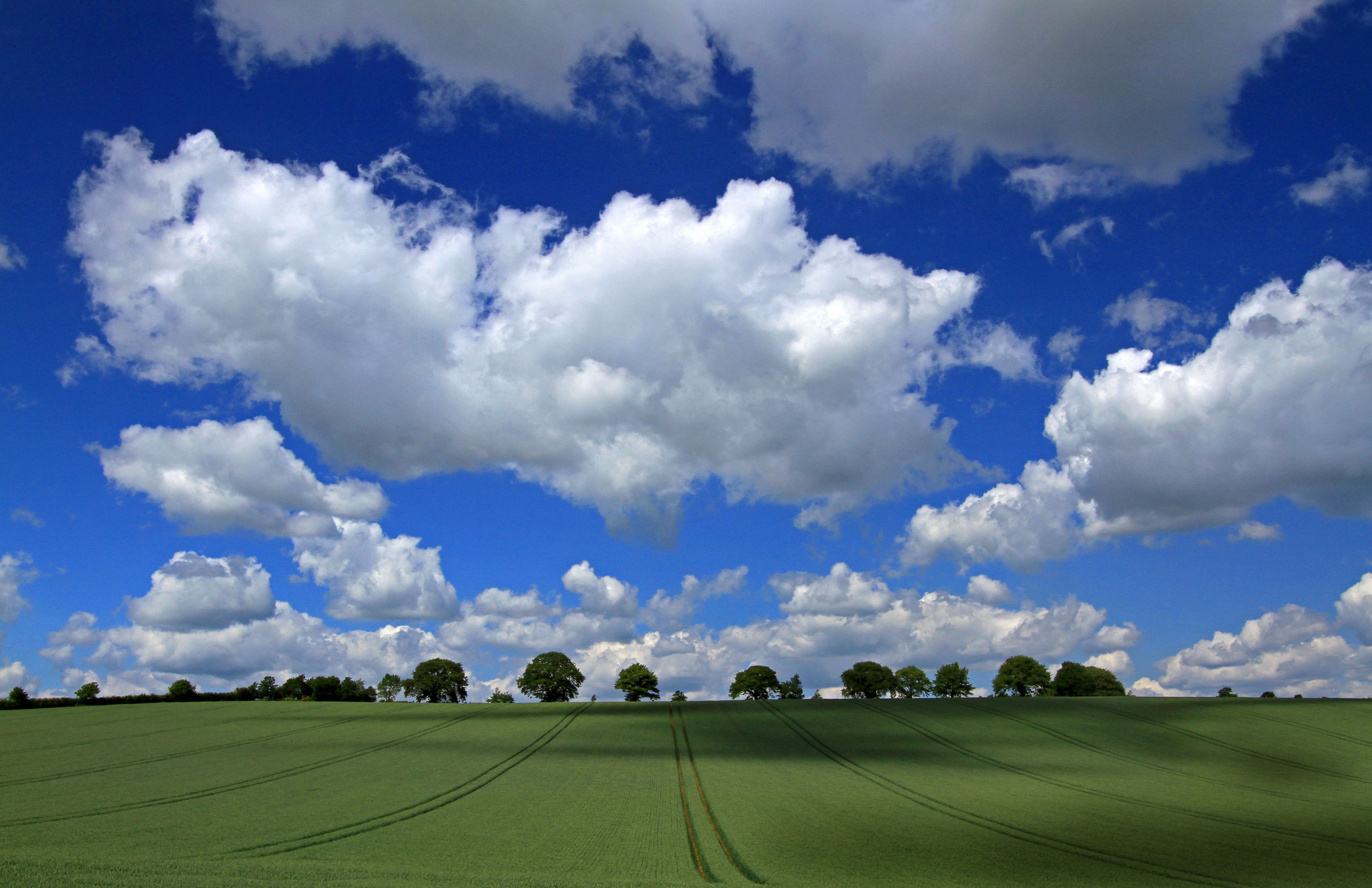 Campo 4k Ultra Fondo de pantalla HD Fondo de Escritorio 5108x3305