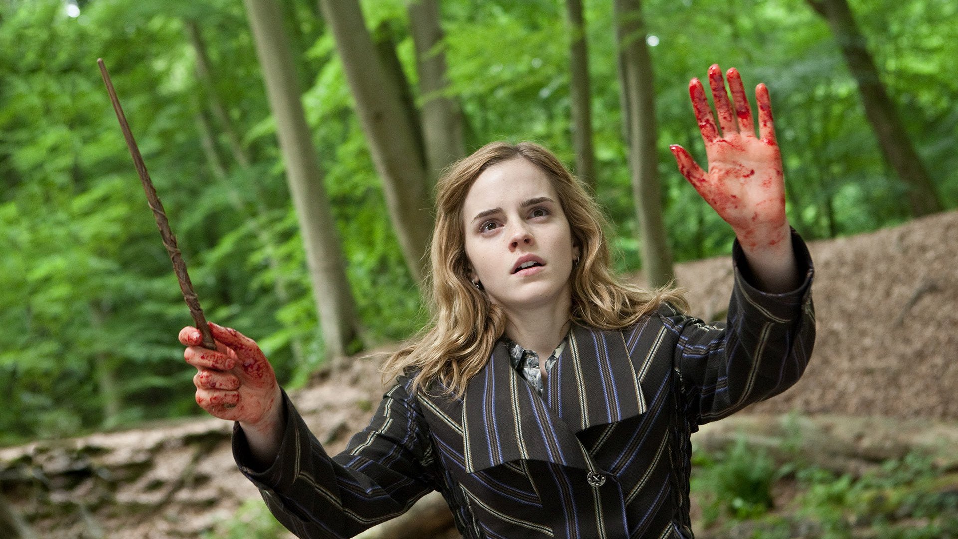 Download Movie Harry Potter And The Deathly Hallows Part 1 HD Wallpaper