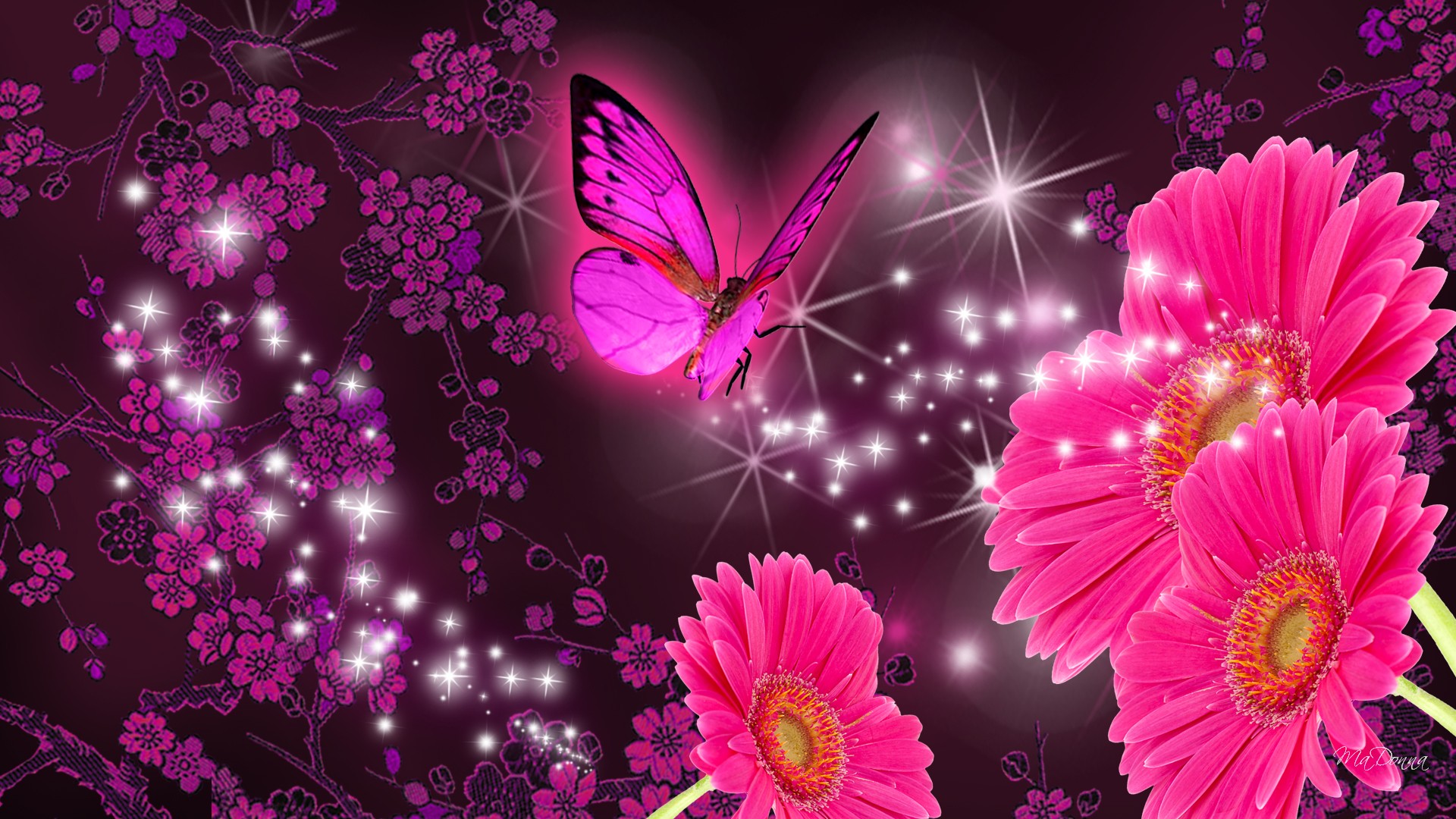 Download Sparkles Butterfly Gerbera Daisy Artistic Flower HD Wallpaper