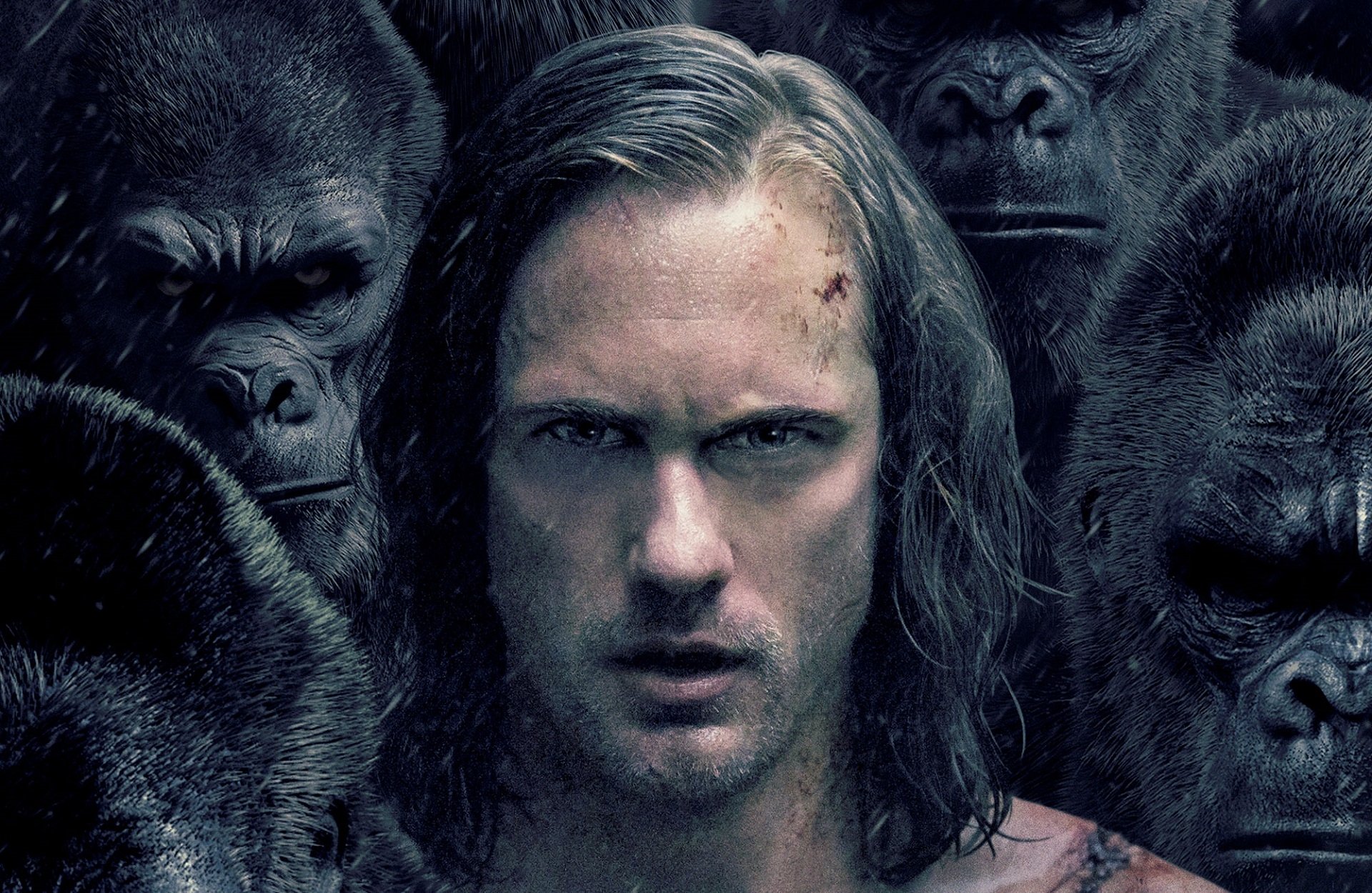Download Tarzan Alexander Skarsgård Movie The Legend Of Tarzan HD Wallpaper