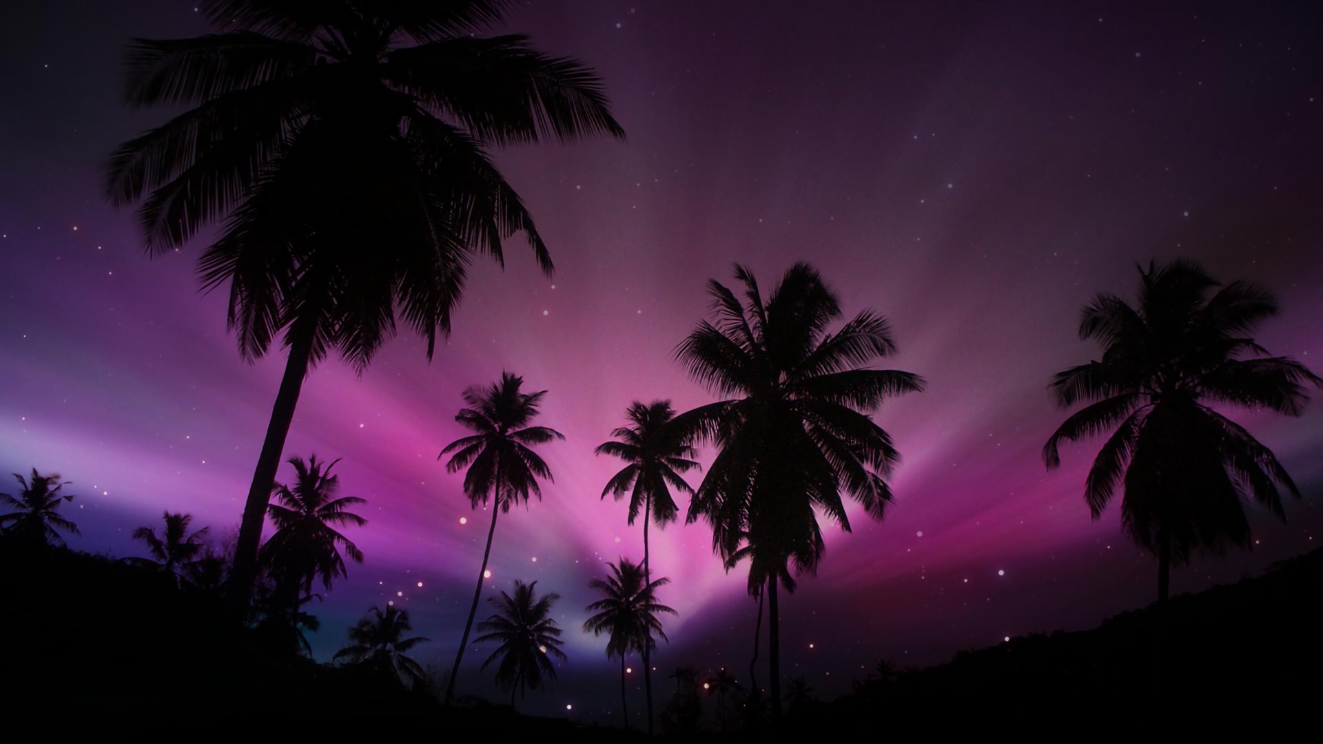 Download Purple Starry Sky Sky Tropical Silhouette Palm Tree Nature