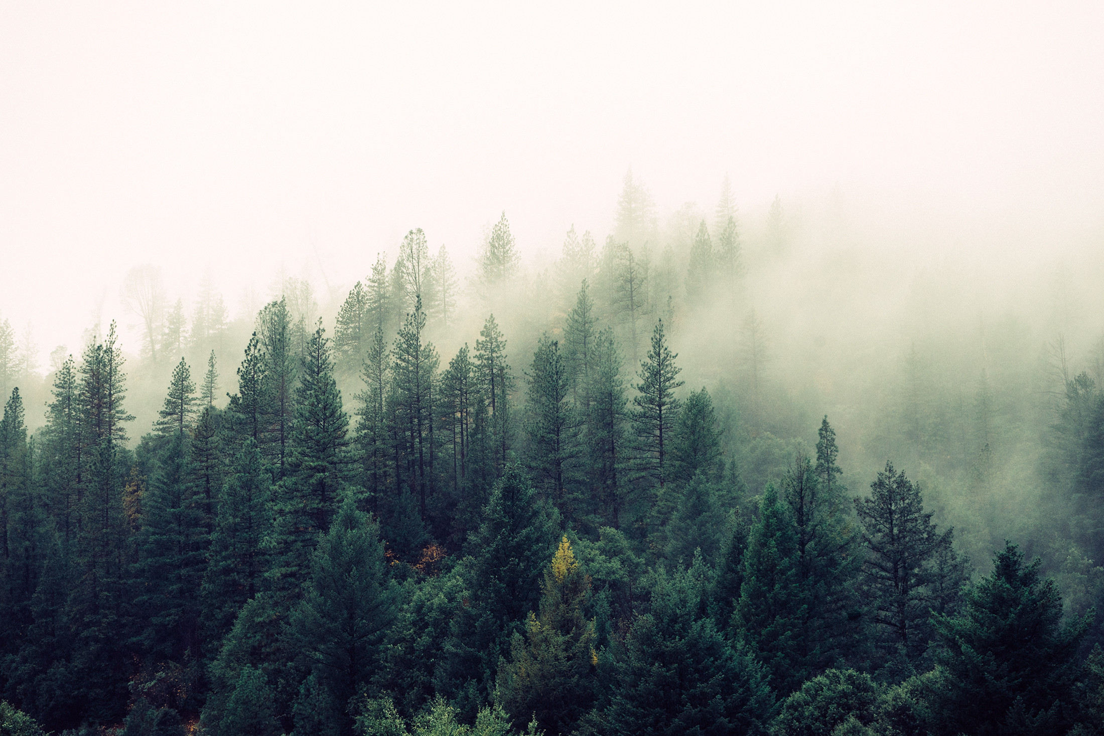 Nebel HD Wallpaper Hintergrund 2200x1467 ID748087