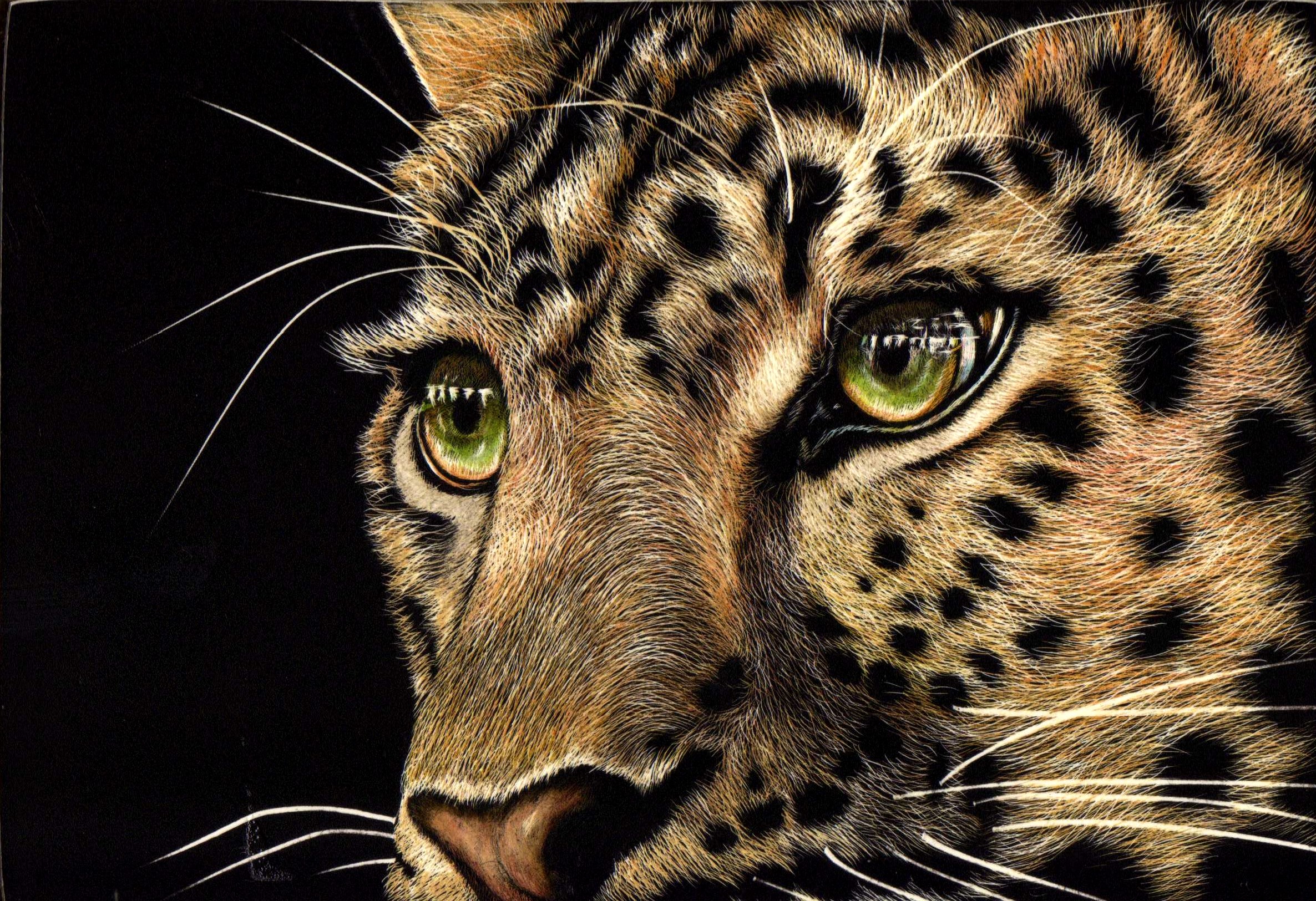 Download Face Leopard Artistic Painting HD Wallpaper
