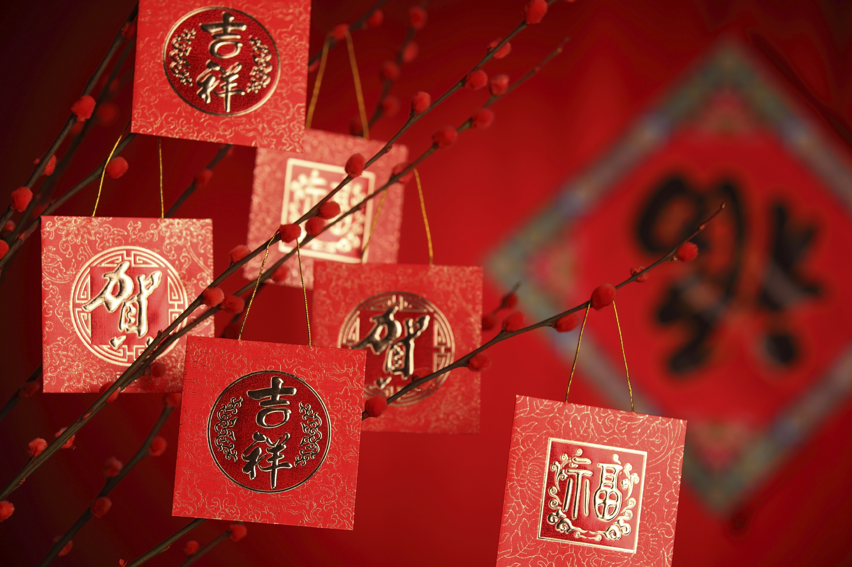 Chinese New Year HD Wallpaper Background Image 2716x1810 ID